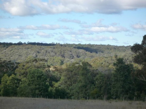 U Saucey Thing - Renee 0