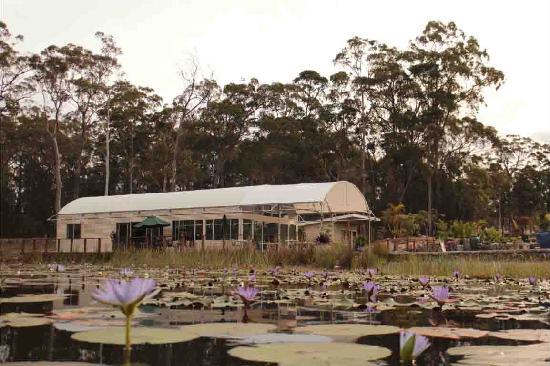 Food Delivery Sancrox NSW Renee