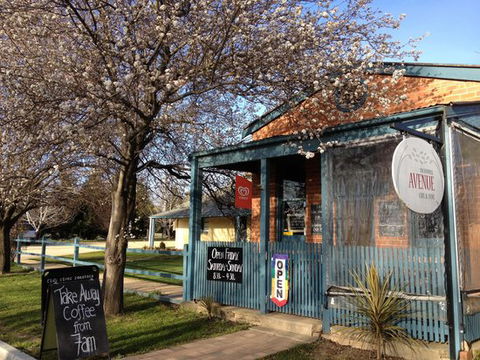 The O'Connell Avenue Cafe & Store - Internet Find 0