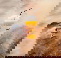 Little Caesars - Darlinghurst - Darlinghurst - Swimm