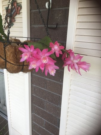 Tingha NSW Internet Find