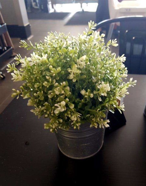 Wonderlust Cafe - Internet Find 0