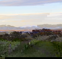 Castle Rock Estate Winery - Renee