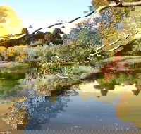 Cradle Coast Olives - Renee