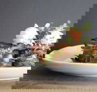 Daark Espresso Bar - Renee