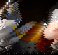 Hope Estate Brewery - Renee