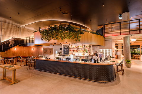 Market Grounds - Renee 0