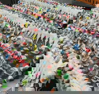 Scotty's Bakehouse - Swimm