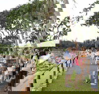 Darwin Ski Club - Swimm