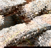 Infinity Bakery - Paddington - Swimm