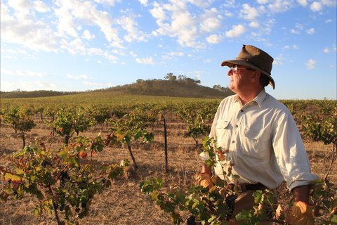 Sally's Paddock At Redbank Winery - Internet Find 2