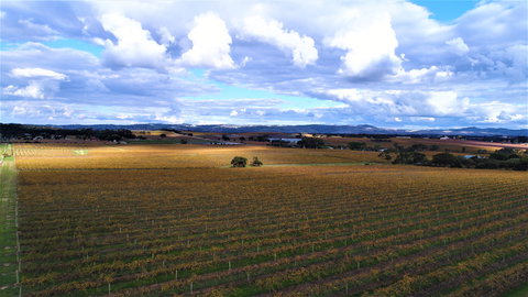 Schubert Estate - Renee 0