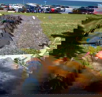 Fish House - Qld Realsetate