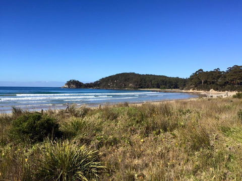 Surf Beach Cafe - Renee 0