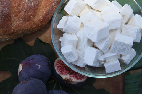 The Cheese Maker - Renee 1