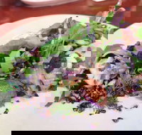 YaYa Bar and Eatery - Internet Find