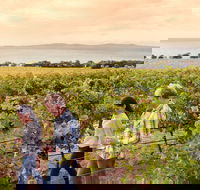 Boston Bay Wines - Internet Find