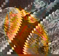 Mix and match - Internet Find