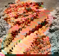 Moka Sushi - Qld Realsetate