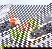 Nourish and Feed - Qld Realsetate