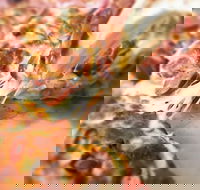 Pizza Rustica - Renee