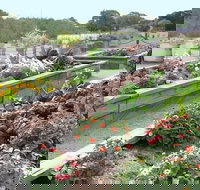 The Farmer's Place - Renee