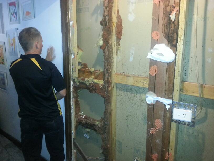 Pest Control Alice Springs NT Renee