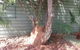 Red Centre Pest Control - thumb 3