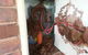 Red Centre Pest Control - thumb 4