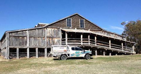 New England Pest Management - Internet Find 2