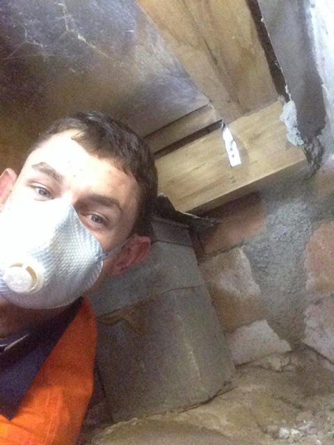 New England Pest Management - Internet Find 3