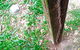 Country To Coast Pest Control - thumb 0