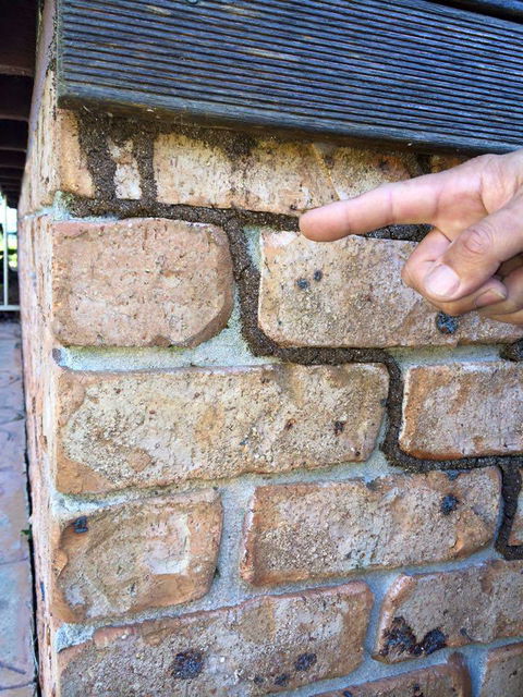 Country To Coast Pest Control - Internet Find 1