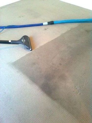 Promax Pest Control & Carpet Cleaning - Internet Find 1