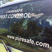 Puresafe Pest Control - Internet Find 1