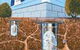 Haynes Pest Management Pty Ltd - thumb 1
