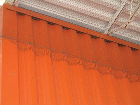 Statewide Pest Solutions - Internet Find 1