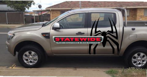 Statewide Pest Solutions - Internet Find 9