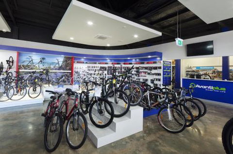 Avantiplus Cairns Pty Ltd - Renee 2