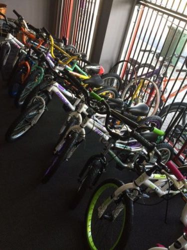 Carter Cycles - Renee 1