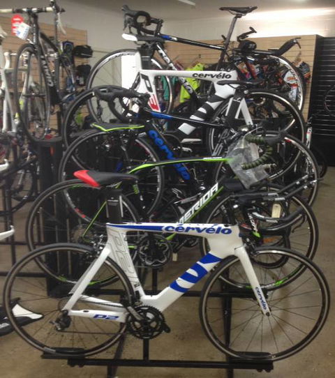 Sunrise Cycles - Renee 1