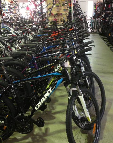 Sunrise Cycles - Renee 2