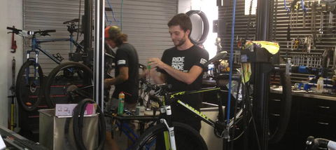 Sunrise Cycles - Renee 4