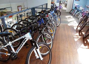 Graham Seers Cyclery - Renee 2