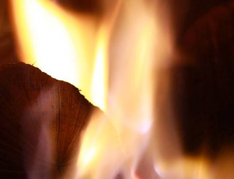 BD’s Woodfired Pizza & Pasta - Renee 1