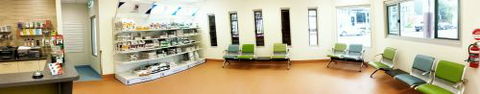 Parap Veterinary Hospital - Renee 2
