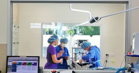 Parap Veterinary Hospital - Renee 3