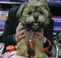 North West Veterinary Clinic - Internet Find
