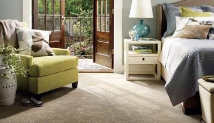 PHJ Carpet Cleaning And Restoration - Renee 5