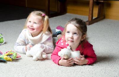 PHJ Carpet Cleaning And Restoration - Renee 10